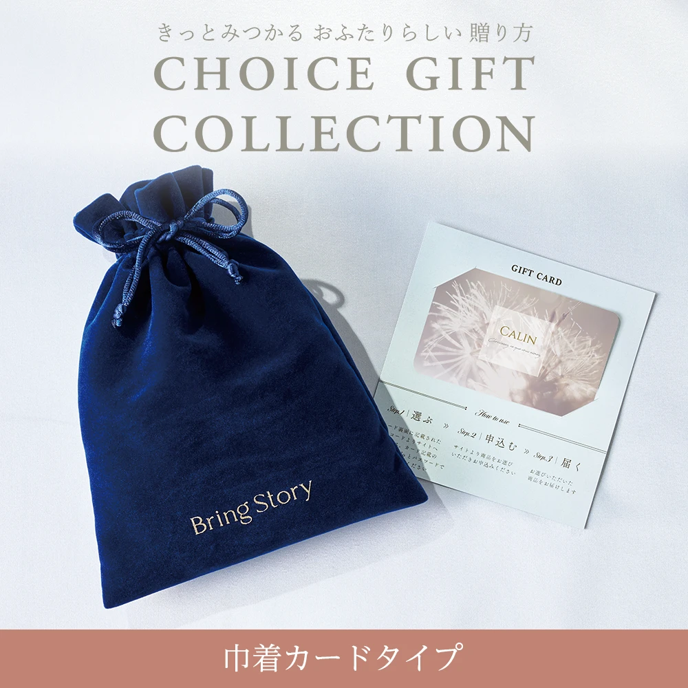 【チョイスギフトコレクション】 フェイリコース・巾着カードタイプ (パースネイビー106)