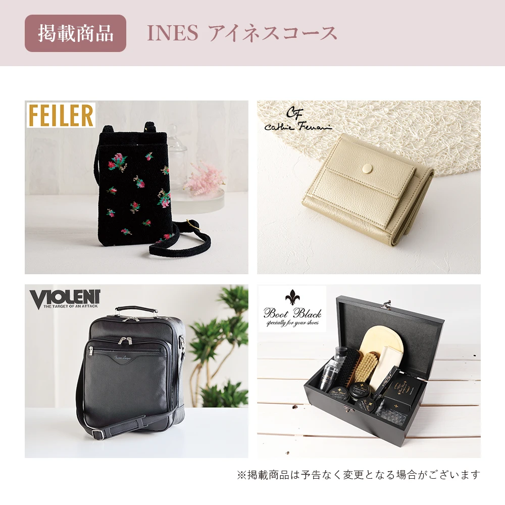 【チョイスギフトコレクション】 アイネスコース・封筒カードタイプ (レター109)