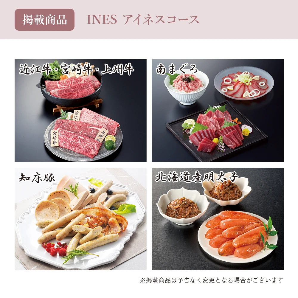 【チョイスギフトコレクション】 アイネスコース・封筒カードタイプ (レター109)