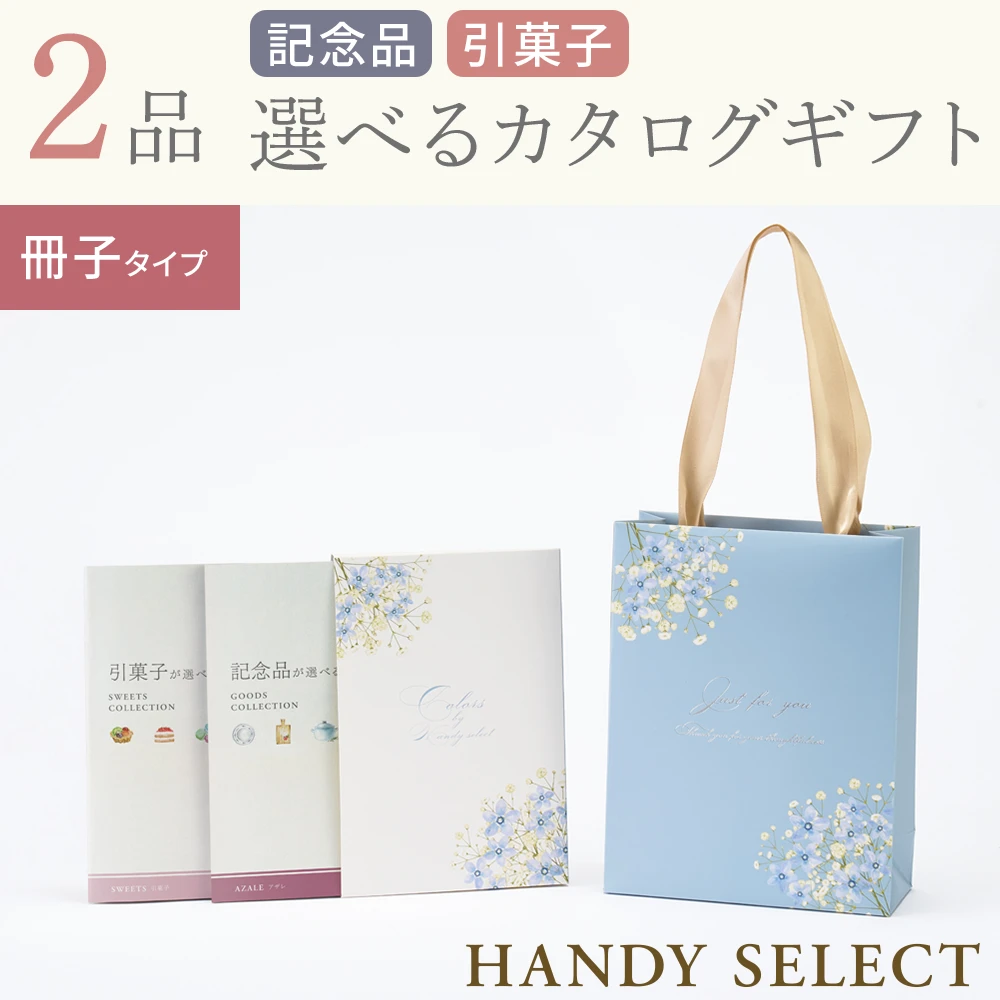 【ハンディセレクト】 ブルー冊子207