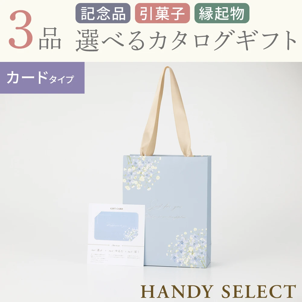 【ハンディセレクト】 ブルーカード307