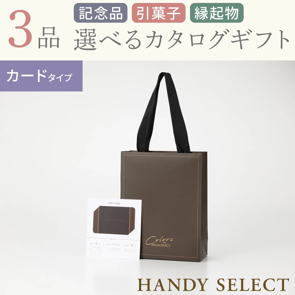 【ハンディセレクト】 ブラウンカード307