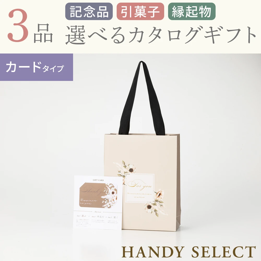 【ハンディセレクト】 シナモンカード307