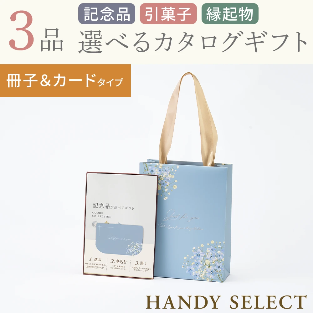 【ハンディセレクト】 ブルー冊子カード303