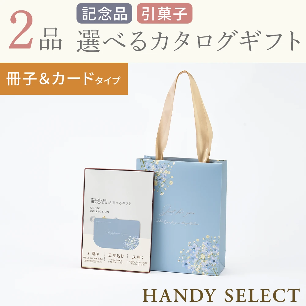 【ハンディセレクト】 ブルー冊子カード208