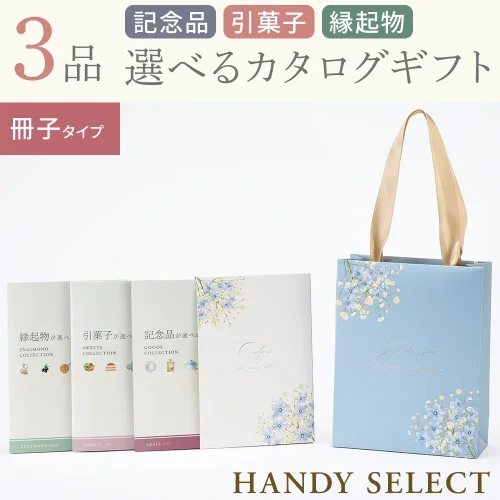 【ハンディセレクト】 ブルー冊子307