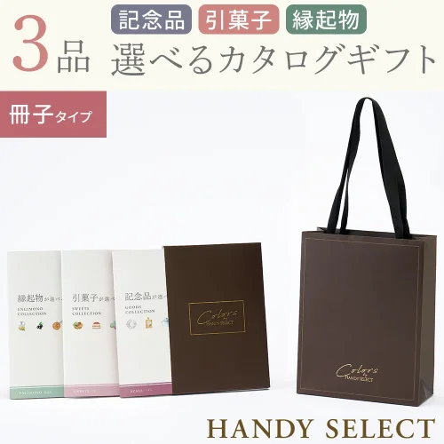 【ハンディセレクト】 ブラウン冊子307