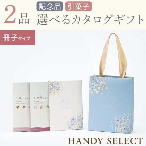 【ハンディセレクト】 ブルー冊子208