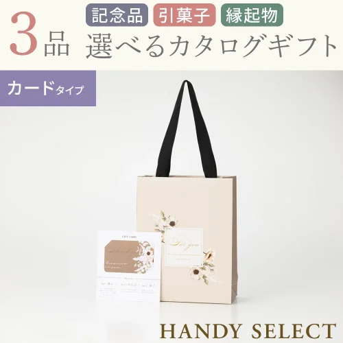 【ハンディセレクト】 シナモンカード302