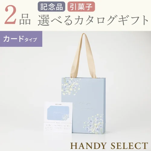 【ハンディセレクト】 ブルーカード207