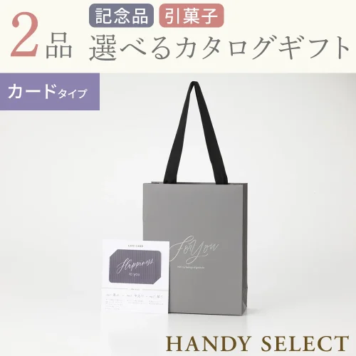 【ハンディセレクト】 グレーカード201