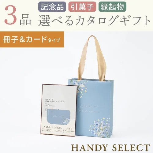 【ハンディセレクト】 ブルー冊子カード307