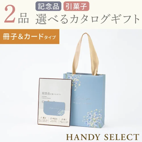 【ハンディセレクト】 ブルー冊子カード208